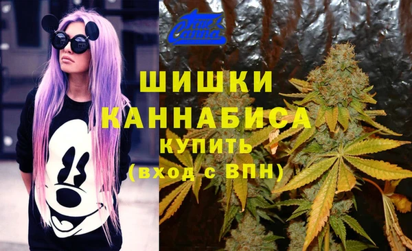 кокаин Горнозаводск