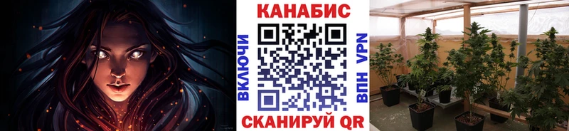 Бошки марихуана White Widow  Новочебоксарск 